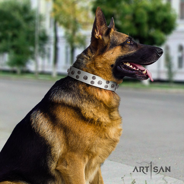 German Shepherd exquisite full grain leather collar with decorations for your four-legged friend
