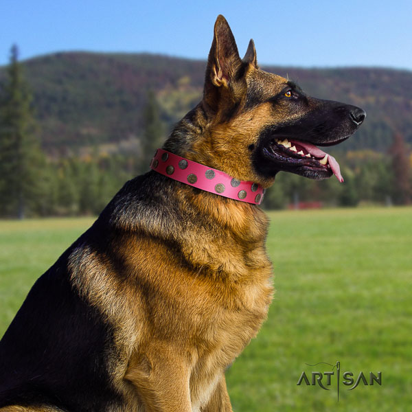 German Shepherd top quality natural genuine leather dog collar with remarkable embellishments
