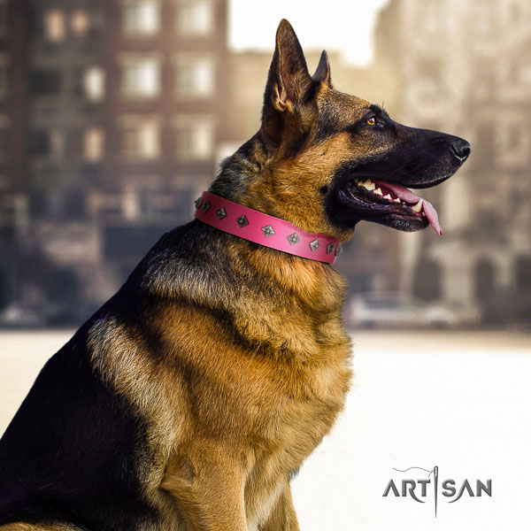 German Shepherd stunning genuine leather collar with studs for your dog