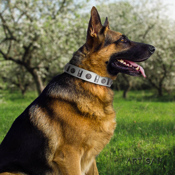 German Shepherd easy to adjust full grain leather dog collar with impressive decorations