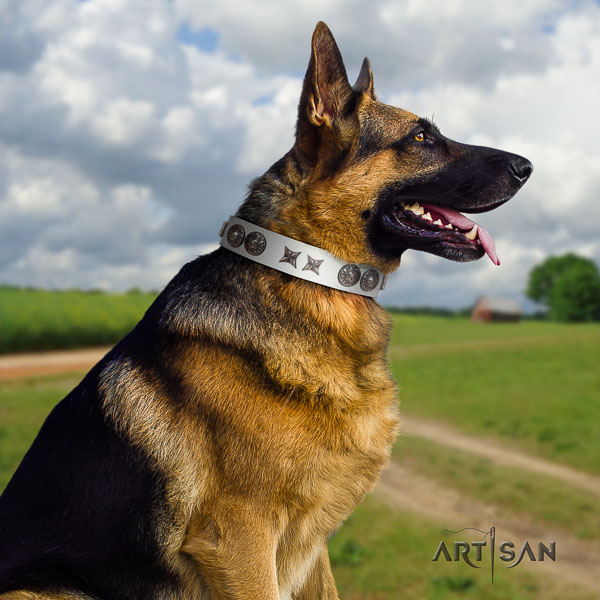 German Shepherd easy to adjust full grain genuine leather collar with studs for your four-legged friend
