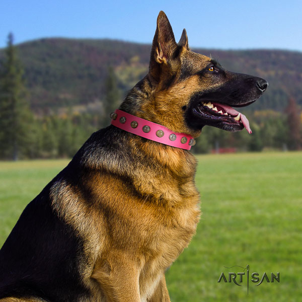 German Shepherd stylish full grain genuine leather collar with embellishments for your canine
