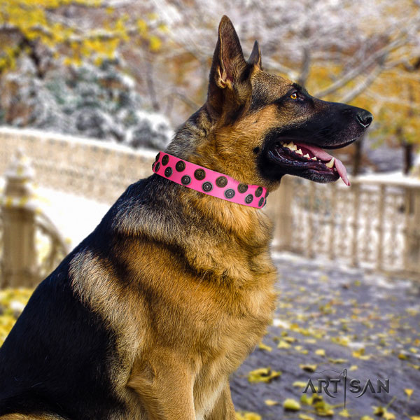 German Shepherd full grain genuine leather dog collar with adornments for your beautiful four-legged friend