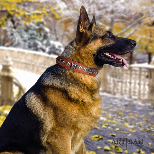 German Shepherd natural genuine leather dog collar with adornments for your impressive dog