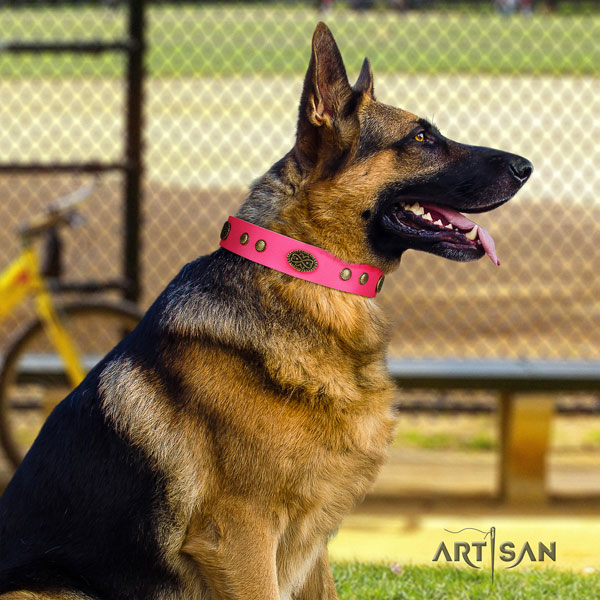 German Shepherd genuine leather dog collar with adornments for your impressive doggie