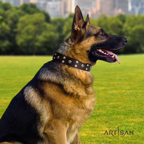 German Shepherd genuine leather dog collar with decorations for your stylish four-legged friend