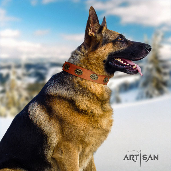 German Shepherd full grain natural leather dog collar with embellishments for your impressive doggie