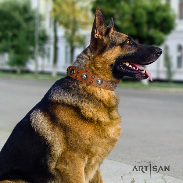 German Shepherd natural genuine leather dog collar with embellishments for your beautiful dog