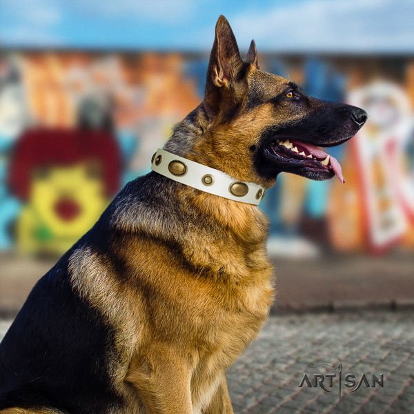 German Shepherd leather dog collar with studs for your lovely pet