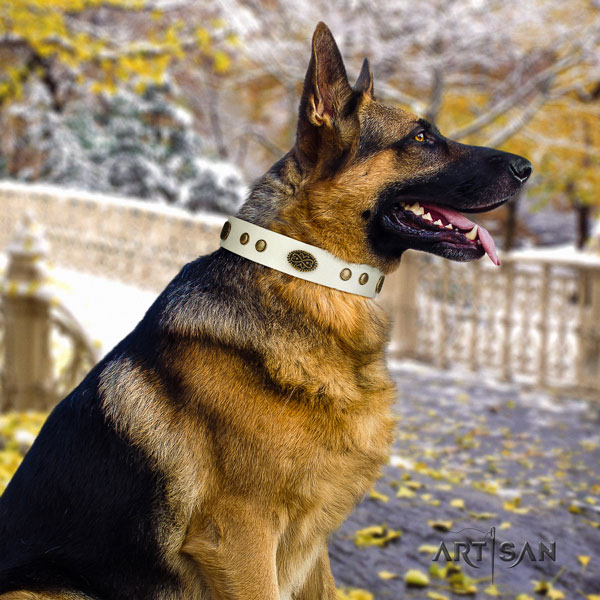 German Shepherd leather dog collar with studs for your handsome dog