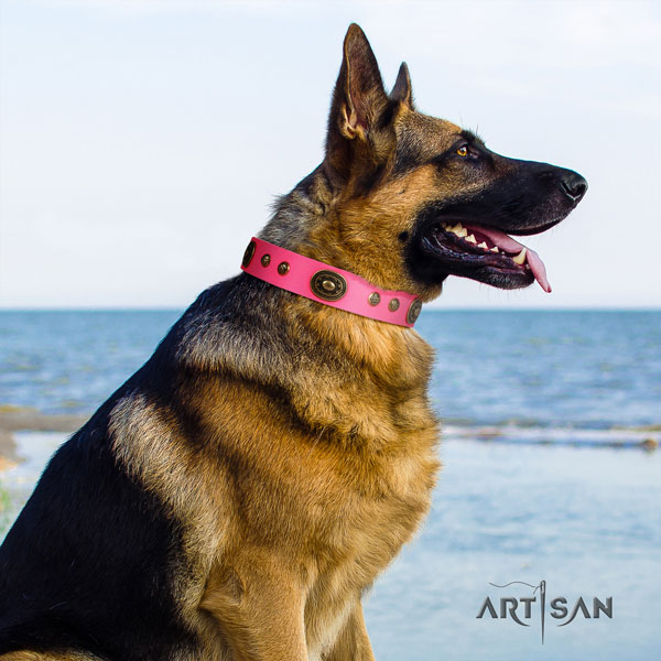 German Shepherd leather dog collar with embellishments for your beautiful pet