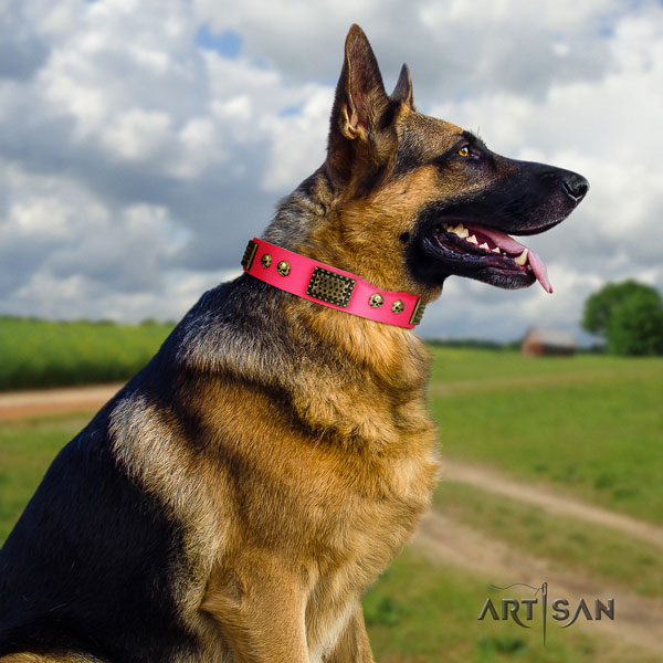 German Shepherd full grain leather dog collar with adornments for your handsome canine
