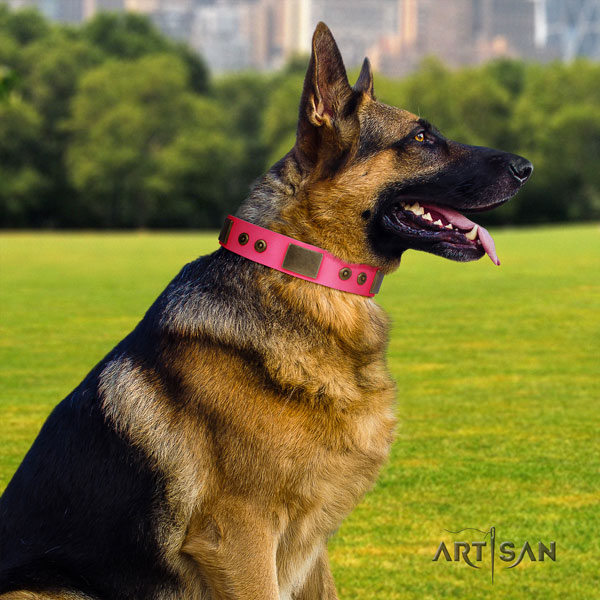 German Shepherd full grain genuine leather dog collar with studs for your attractive doggie