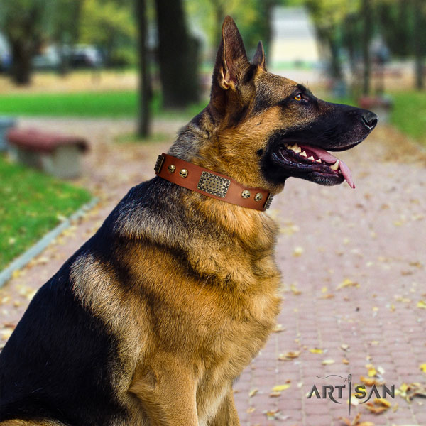 German Shepherd genuine leather dog collar with embellishments for your stylish canine