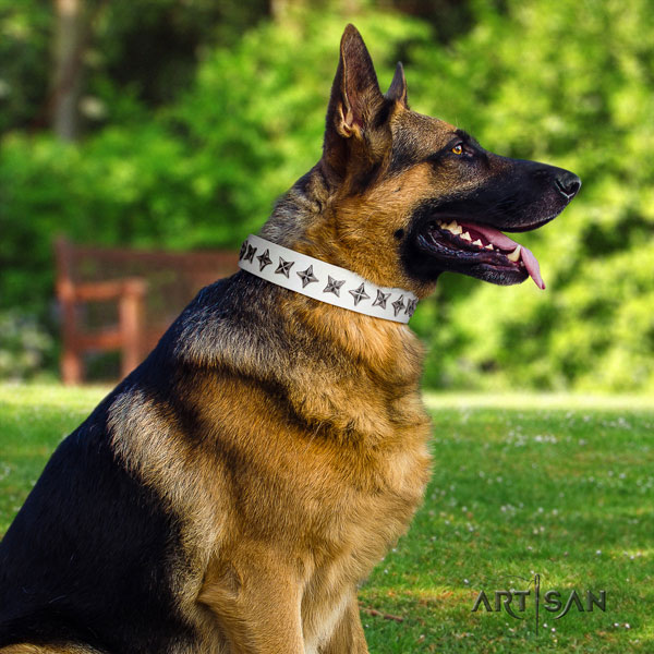 German Shepherd full grain natural leather dog collar with studs for your attractive pet