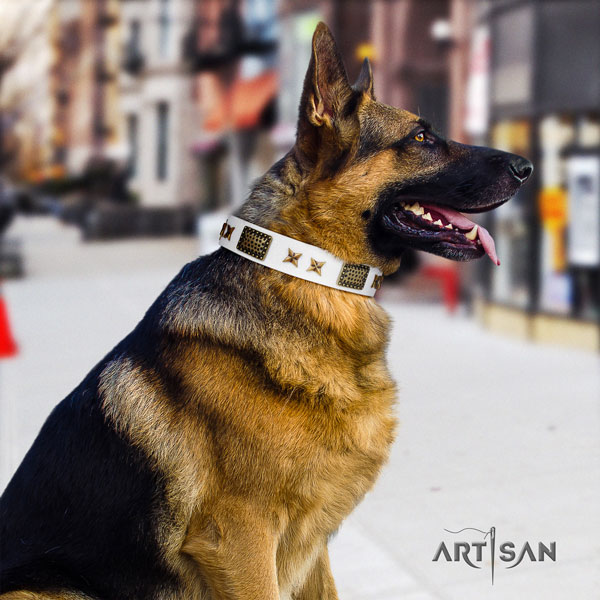 German Shepherd genuine leather dog collar with decorations for your impressive pet