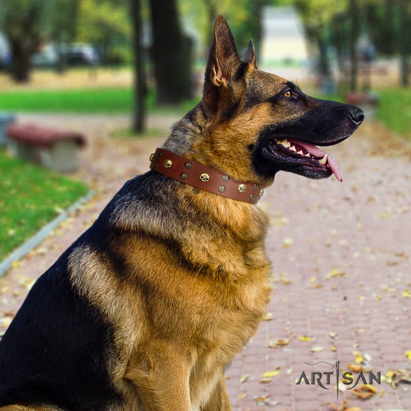 German Shepherd full grain leather dog collar with embellishments for your beautiful pet