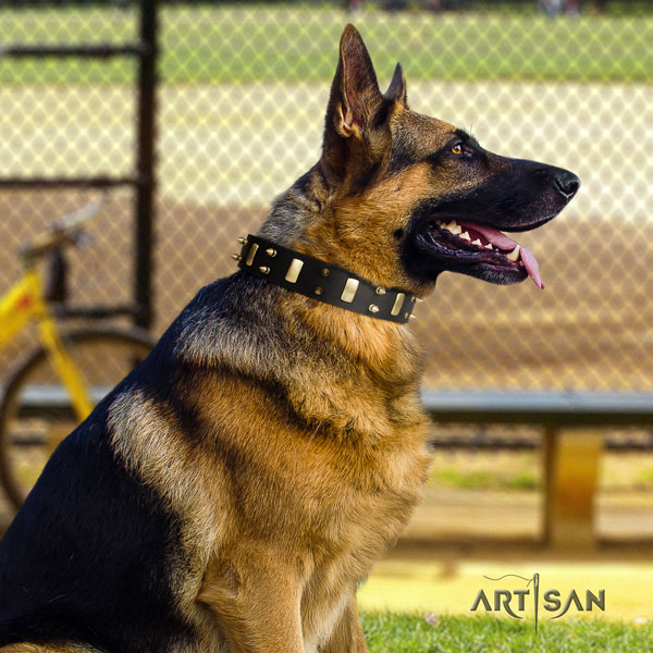 German Shepherd full grain genuine leather dog collar with studs for your handsome canine