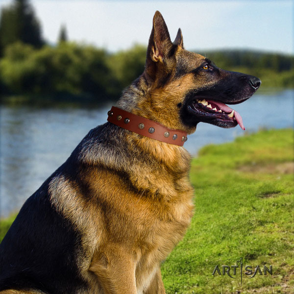 German Shepherd full grain natural leather dog collar with embellishments for your impressive dog