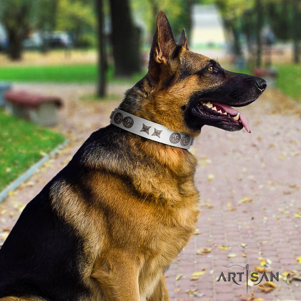 German Shepherd awesome full grain genuine leather collar with adornments for your four-legged friend