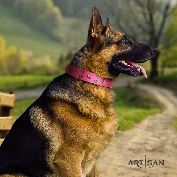 German Shepherd handcrafted full grain genuine leather collar with embellishments for your canine