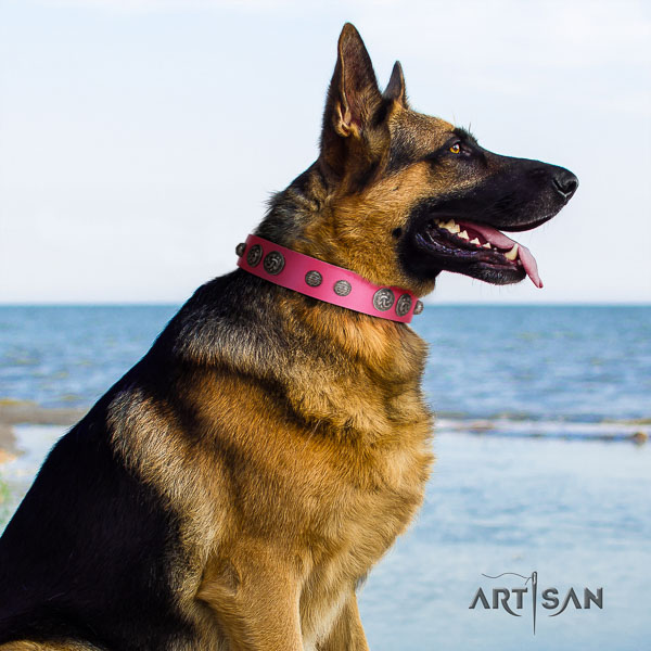German Shepherd perfect fit genuine leather collar with adornments for your dog