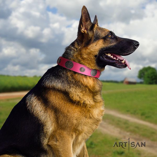German Shepherd fashionable natural genuine leather collar with embellishments for your doggie