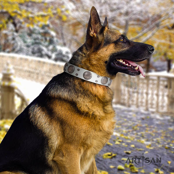 German Shepherd comfortable leather dog collar with awesome adornments