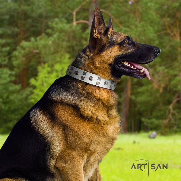 German Shepherd handcrafted genuine leather collar with adornments for your canine