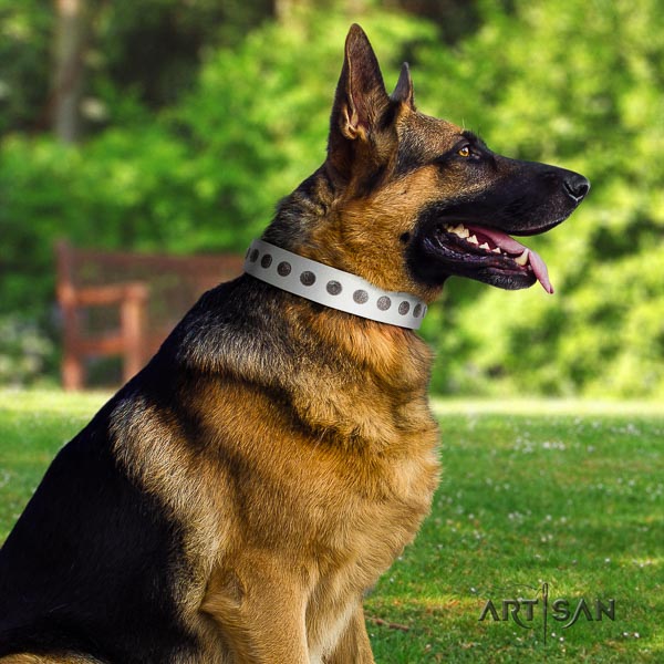 German Shepherd stylish leather collar with embellishments for your dog