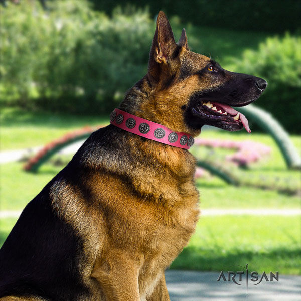 German Shepherd fine quality full grain genuine leather dog collar with amazing adornments
