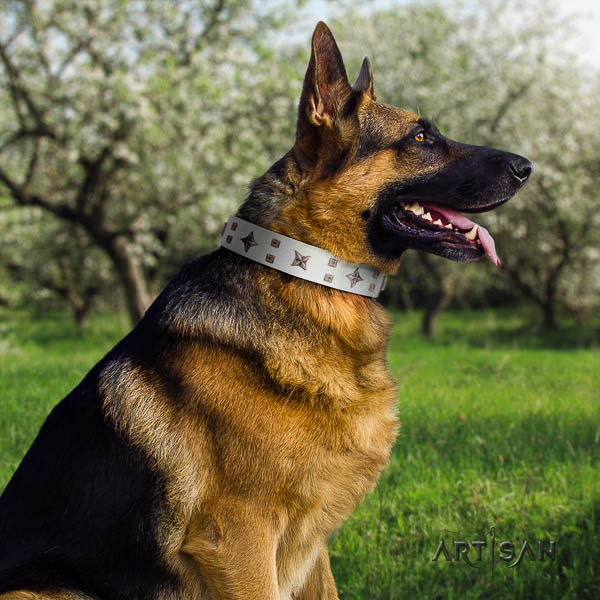 German Shepherd exceptional full grain genuine leather collar with embellishments for your canine