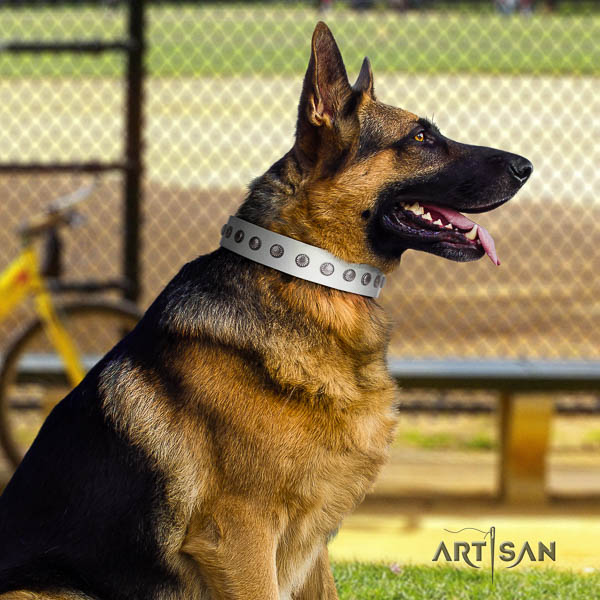 German Shepherd best quality full grain genuine leather dog collar with extraordinary decorations