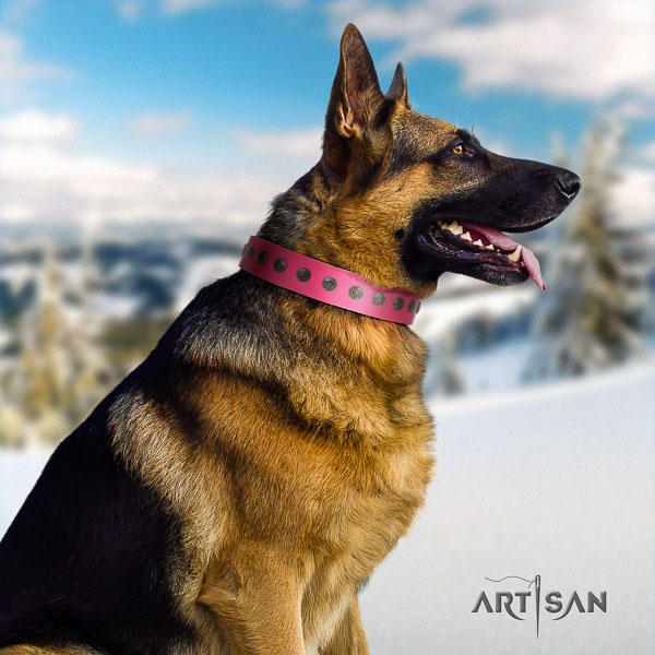 German Shepherd exquisite genuine leather collar with embellishments for your dog