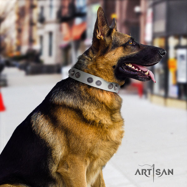 German Shepherd adjustable full grain leather dog collar with incredible decorations