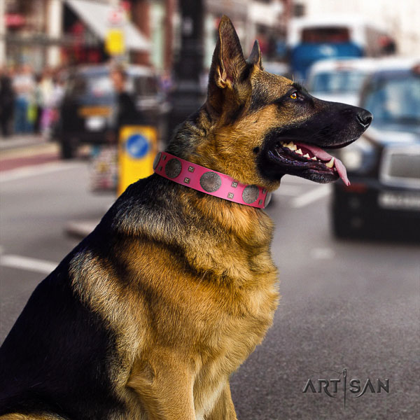 German Shepherd adjustable full grain genuine leather collar with adornments for your four-legged friend