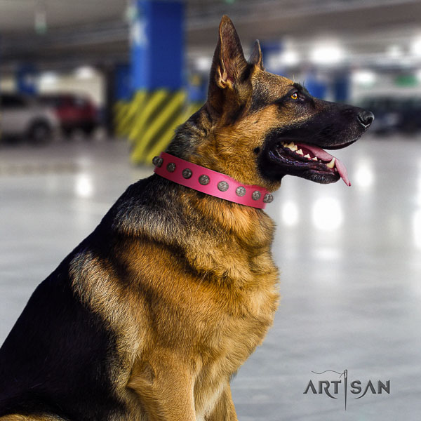 German Shepherd inimitable full grain genuine leather collar with decorations for your doggie
