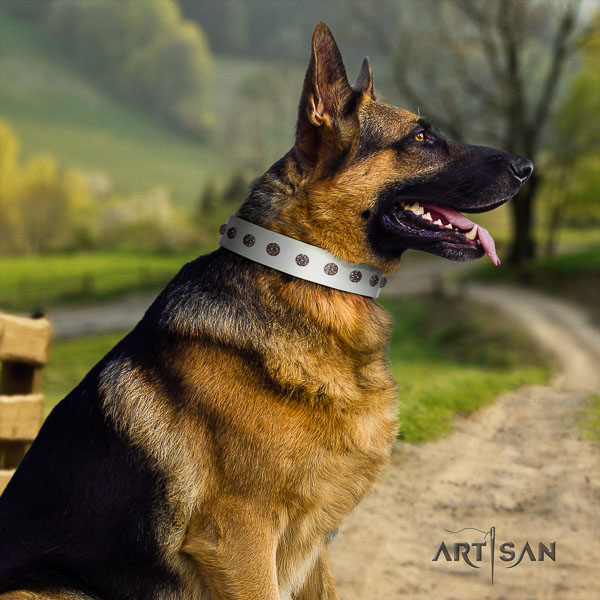 German Shepherd easy adjustable full grain leather dog collar with stylish embellishments