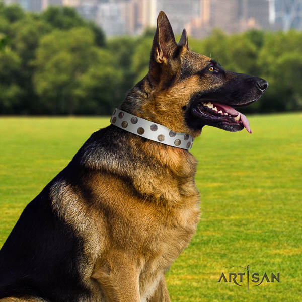 German Shepherd comfortable full grain natural leather dog collar with top notch studs