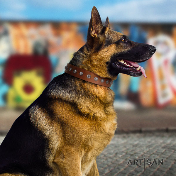 German Shepherd handcrafted natural genuine leather dog collar with fashionable embellishments