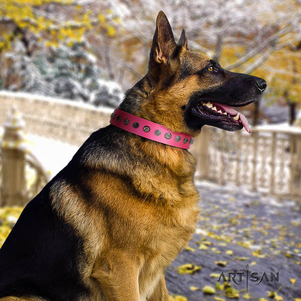 German Shepherd easy adjustable leather dog collar with significant decorations