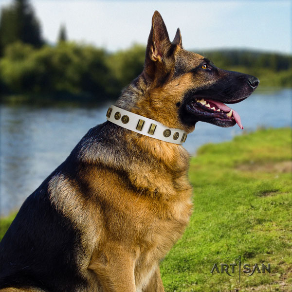 German Shepherd leather dog collar with adornments for your attractive pet