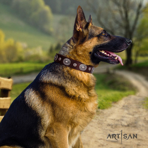 German Shepherd leather dog collar with adornments for your handsome four-legged friend