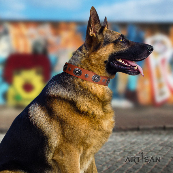 German Shepherd full grain genuine leather dog collar with adornments for your attractive doggie