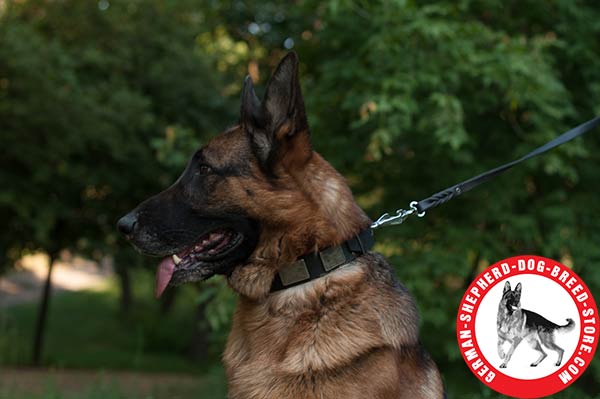 Vintage Dog Collar of High-quality Leather