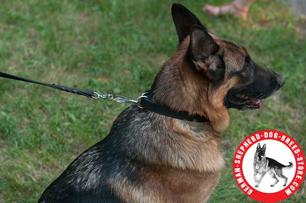 Strong Leather German Shepherd Collar for Daily Walking