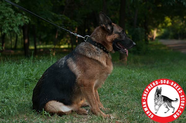 Elegant Studded Leather Collar for German Shepherd