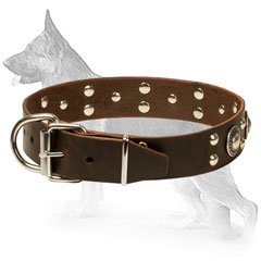 Walking German Shepherd Collar Leather