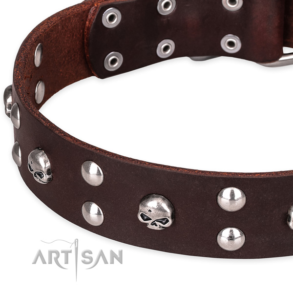 Casual style leather dog collar with cute embellishments