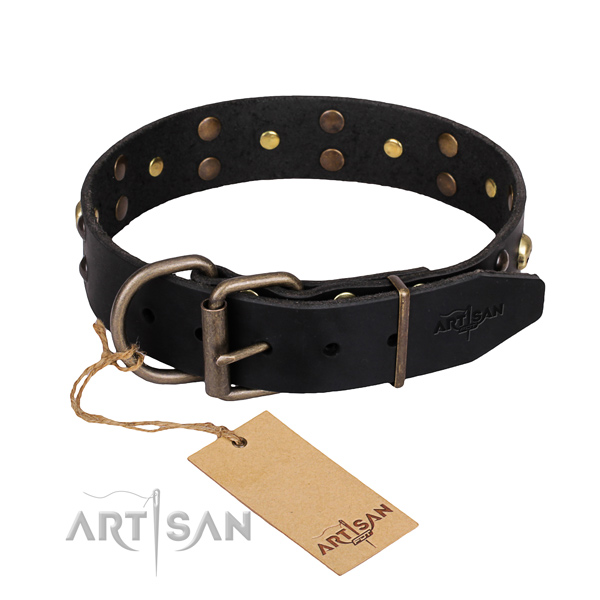 Hardwearing leather dog collar with durable fittings